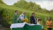 Feldgottesdienst_84_PG_Schweich_2015_wm.jpg